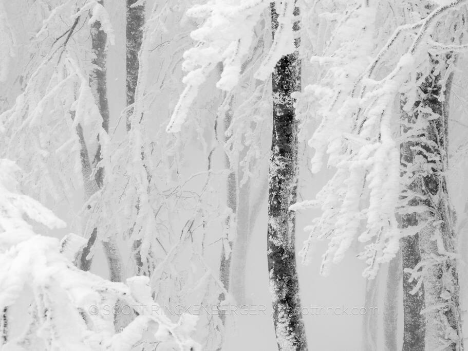The Misorano Cottage Hakuba Kültér fotó